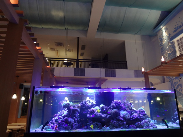 千柏咖啡 champloo Cafe：1020901[官本金文愛台灣]千柏champloo Cafe終於被雷到了CC空有裝潢一百分但是食物與服務待加強