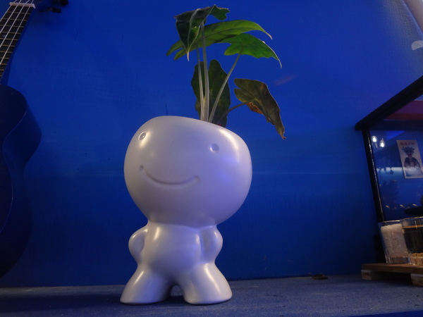 藍色地圖咖啡館：1021001[官本金文愛台灣]第三雷空有地中海風格的藍色地圖咖啡館Bule Map餐點須再加強