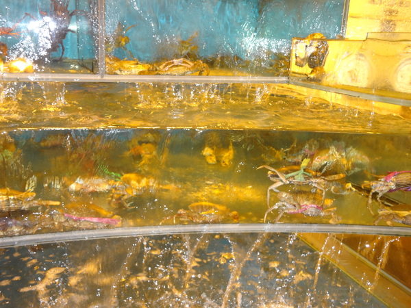 cm20131030___23af8b8c4c498d04b02eb759f6f