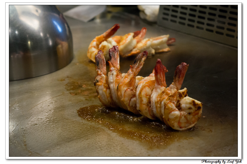 葉影瓶像版權所有