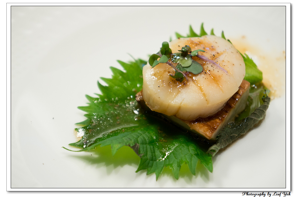 葉影瓶像版權所有