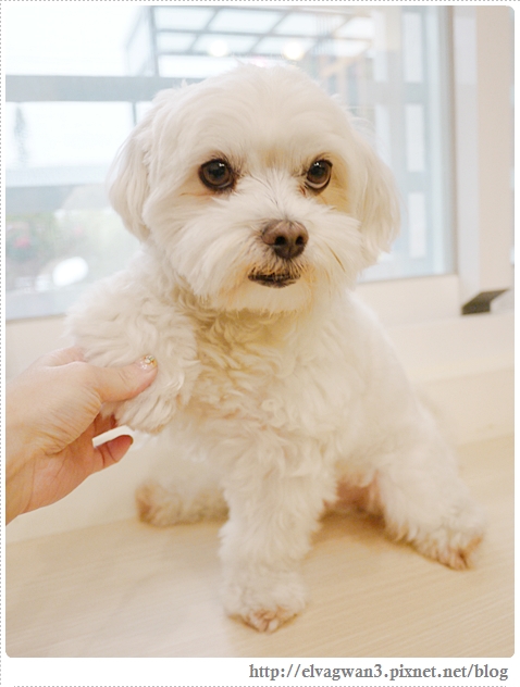 台東2013民宿-4-2