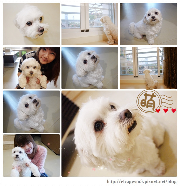 台東2013民宿-4-1