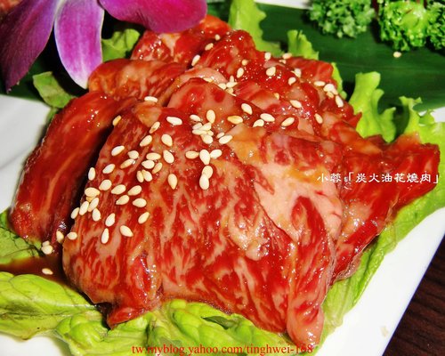 油花炭火燒肉專門店:『炭火油花燒肉專門店』吃精巧不吃粗飽的燒肉店~
