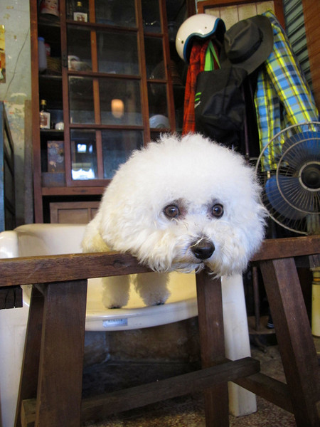 下町の洋菓子：[台南]洋菓子幸福的可麗餅