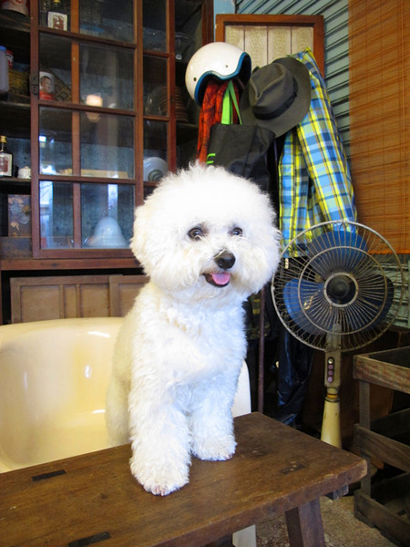 下町の洋菓子：[台南]洋菓子幸福的可麗餅