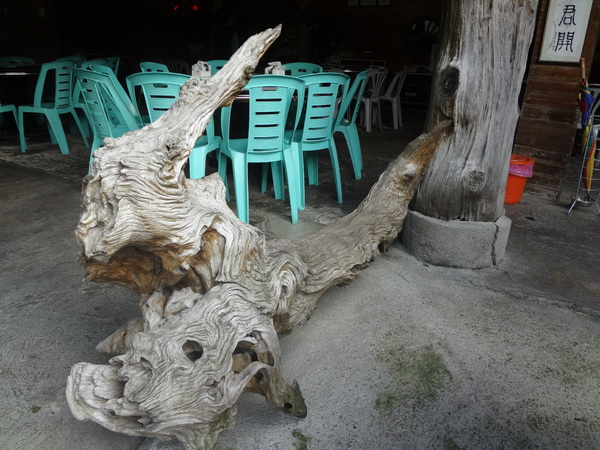 觀音山莊野菜料理：1020106[官本金文愛台灣]觀音山莊像在莊園博物館裡享受美食賞石賞魚賞花的好地方