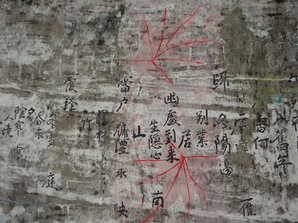 觀音山莊之松雨庭：1020106[官本金文愛台灣]觀音山莊之松雨庭超有高貴FU的庭園景觀