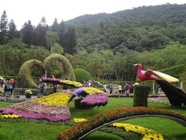 2012士林官邸菊花展：1011201[官本金文愛台灣]2012士林官邸菊展手舞菊蹈秋的繽紛舞宴看到人潮好多又漂亮的菊花(外部篇)