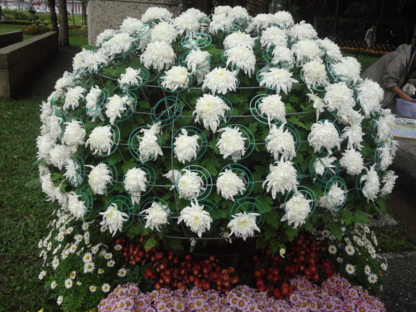 2012士林官邸菊花展：1011201[官本金文愛台灣]2012士林官邸菊展手舞菊蹈秋的繽紛舞宴看到人潮好多又漂亮的菊花(外部篇)