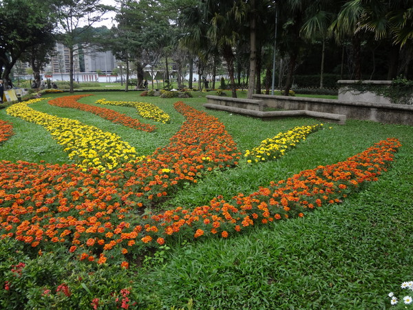 2012士林官邸菊花展：1011201[官本金文愛台灣]2012士林官邸菊展手舞菊蹈秋的繽紛舞宴看到人潮好多又漂亮的菊花(外部篇)