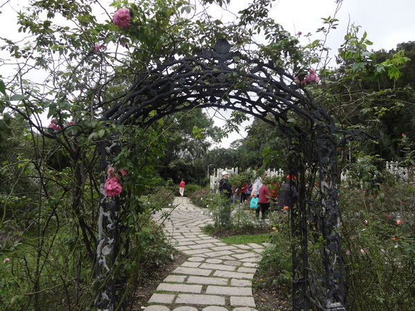 2012士林官邸菊花展：1011201[官本金文愛台灣]2012士林官邸菊展手舞菊蹈秋的繽紛舞宴看到人潮好多又漂亮的菊花(外部篇)