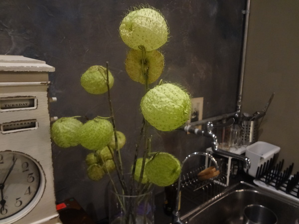 Roundabout Café：1021029[官本金文愛台灣]連超級賽亞人都愛喝超級好喝圓環咖啡Roundabout Café的招牌咖啡喝了變成超級賽亞人