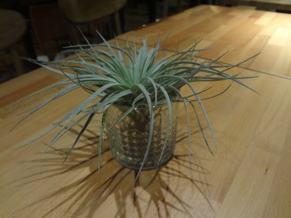 Roundabout Café：1021029[官本金文愛台灣]連超級賽亞人都愛喝超級好喝圓環咖啡Roundabout Café的招牌咖啡喝了變成超級賽亞人