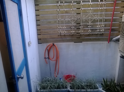 Companio 手作。食事：簡化版的法式料理，平價的高貴享受----companio