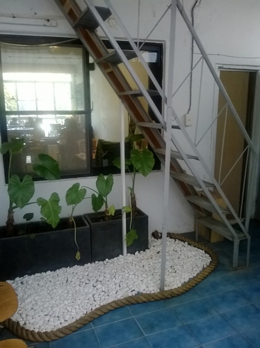 Companio 手作。食事：簡化版的法式料理，平價的高貴享受----companio