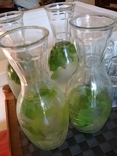 Companio 手作。食事：簡化版的法式料理，平價的高貴享受----companio