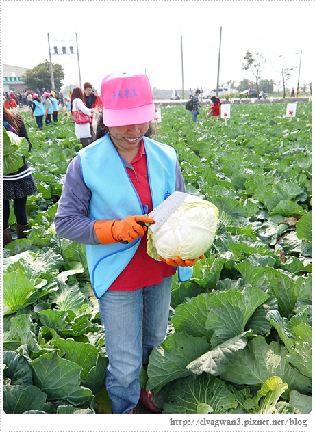 雲林千人高麗菜辦桌-23