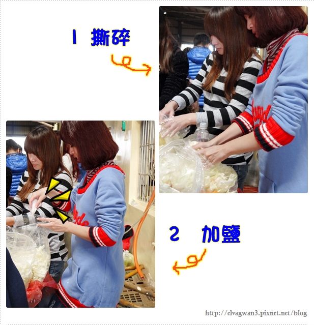 雲林千人高麗菜辦桌-3