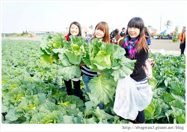 雲林千人高麗菜辦桌-1