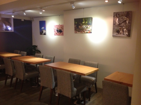 cafe Marché~咖啡瑪榭(忠孝店)：Café Marché 咖啡瑪榭──夢幻甜點好所在