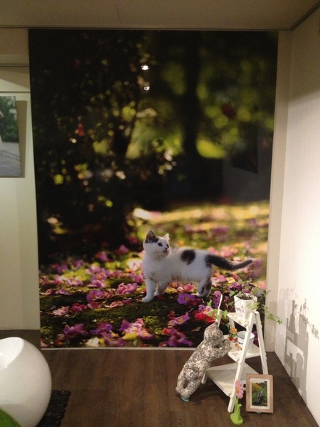 cafe Marché~咖啡瑪榭(忠孝店)：Café Marché 咖啡瑪榭──夢幻甜點好所在