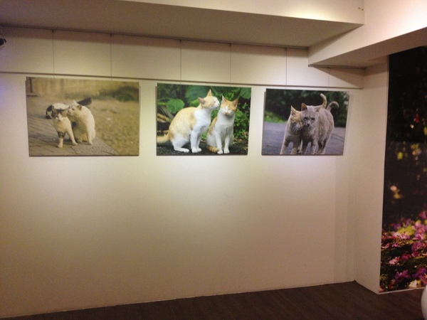 cafe Marché~咖啡瑪榭(忠孝店)：Café Marché 咖啡瑪榭──夢幻甜點好所在