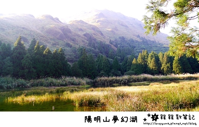 陽明山夢幻湖
