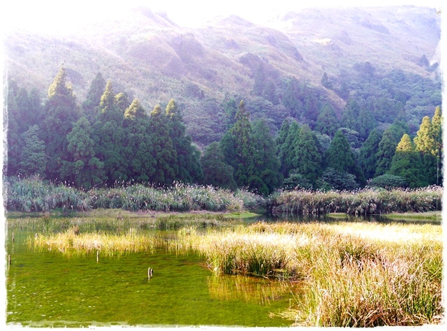 陽明山夢幻湖