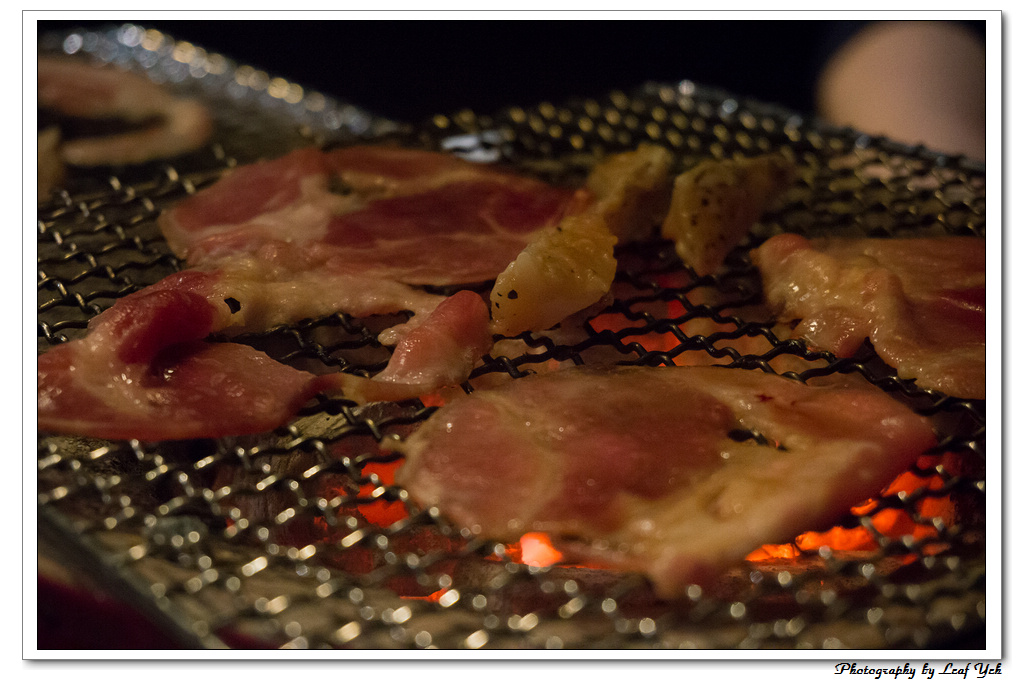 葉影瓶像版權所有