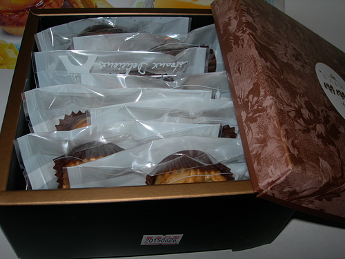 DSCN7781.JPG - 芒果山丘