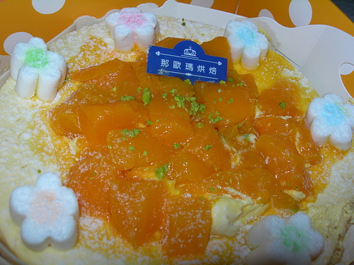 DSCN7811.JPG - 芒果山丘