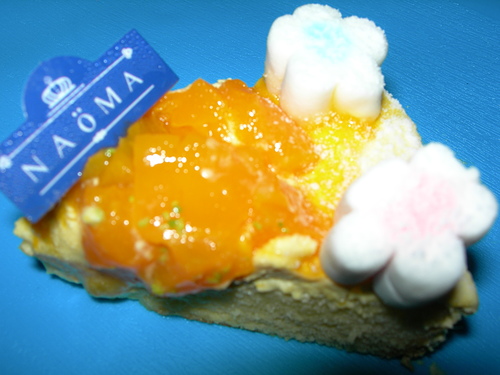 DSCN7808.JPG - 芒果山丘