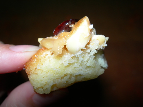 DSCN7816.JPG - 芒果山丘