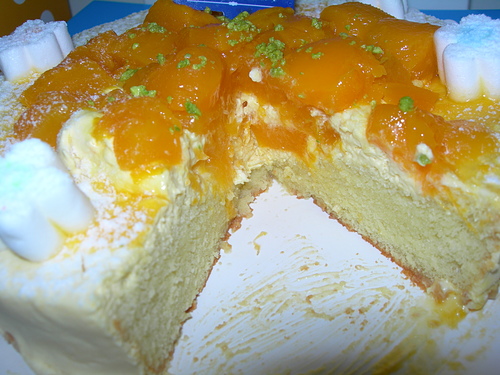 DSCN7804.JPG - 芒果山丘