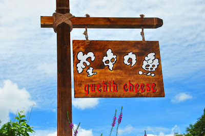 空中的魚乳酪蛋糕:漫步紅茶的故鄉,享受--『空中的魚』紅茶乳酪蛋糕