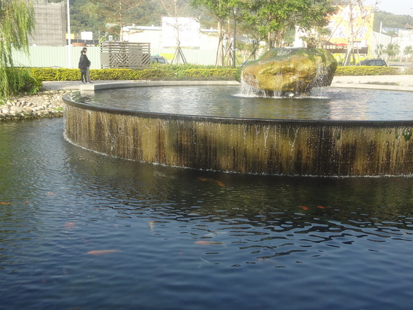 新都生態公園：1020129[官本金文愛台灣]新都生態公園藍天綠地水池海星小生態大玩樂