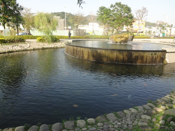 新都生態公園：1020129[官本金文愛台灣]新都生態公園藍天綠地水池海星小生態大玩樂