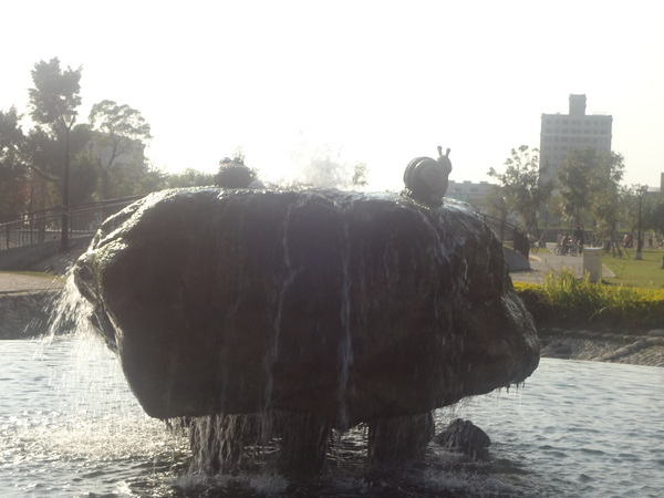 新都生態公園：1020129[官本金文愛台灣]新都生態公園藍天綠地水池海星小生態大玩樂