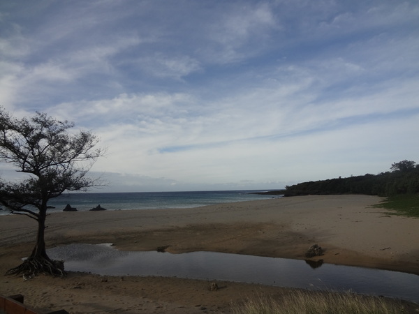 墾丁船帆石：1020104[官本金文愛台灣]船帆石像一顆人頭在海上看小橋流水平沙