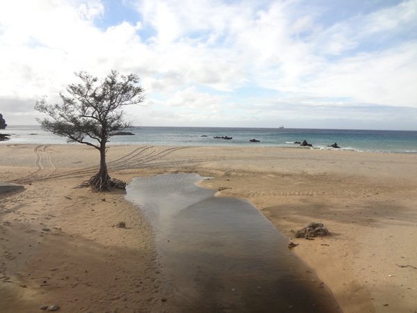 墾丁船帆石：1020104[官本金文愛台灣]船帆石像一顆人頭在海上看小橋流水平沙