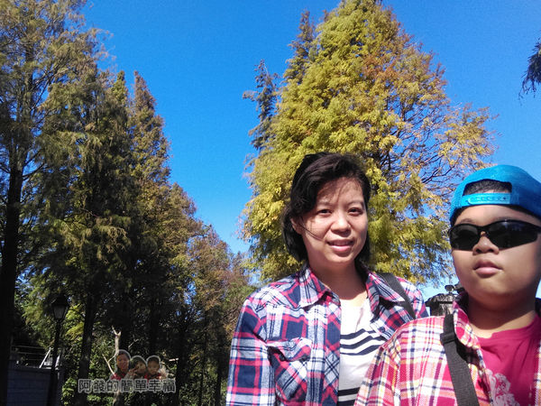 落羽松大道08-留影