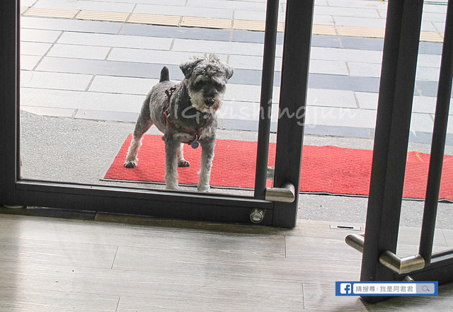 麵包歌_阿君君-3039