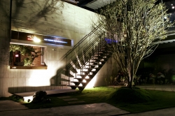 鋼骨.清水模.楓樹.燈光.陰影創意建構而成