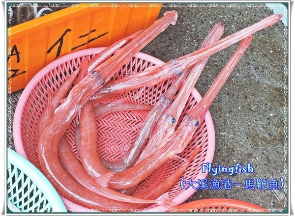 串燒居酒屋：✜ 宜蘭礁溪滴美味日系深夜食堂－「串燒居酒屋」｡◕‿‿◕｡