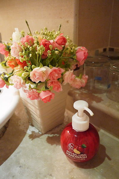 聖荷緹渡假城堡：【宜蘭。五結】郷間田野の城堡民宿～聖荷緹城堡渡假城堡