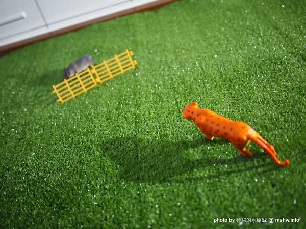 昨日花卷 跨界好食：【食記】台中西區-Offer oh 昨日花卷.跨界好食@草悟道 : 料理創意x口味獨家x環境舒適的無國界餐飲