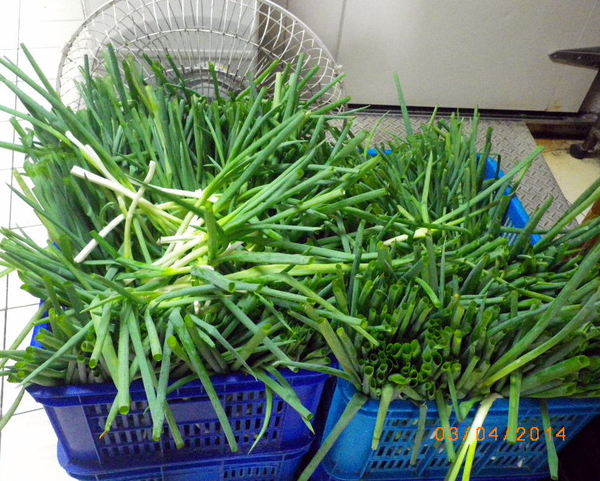 老克明蔥神派【多層次餅皮】(150±10g)X5包:老克明的蔥神派˙不囉嗦~就是好吃