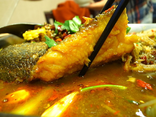 川味兒川菜館：<台北|松山|川菜>道地好吃的川味兒川菜館