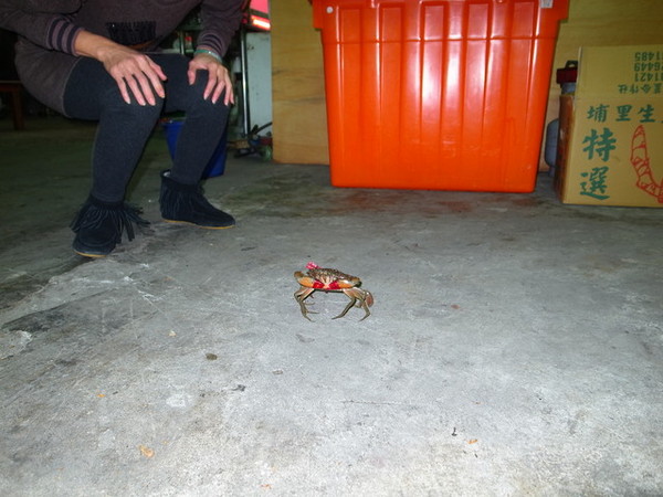 紅蟳王釣蝦場: <新北|三重|熱炒>好吃又好玩~紅蟳王釣蝦場